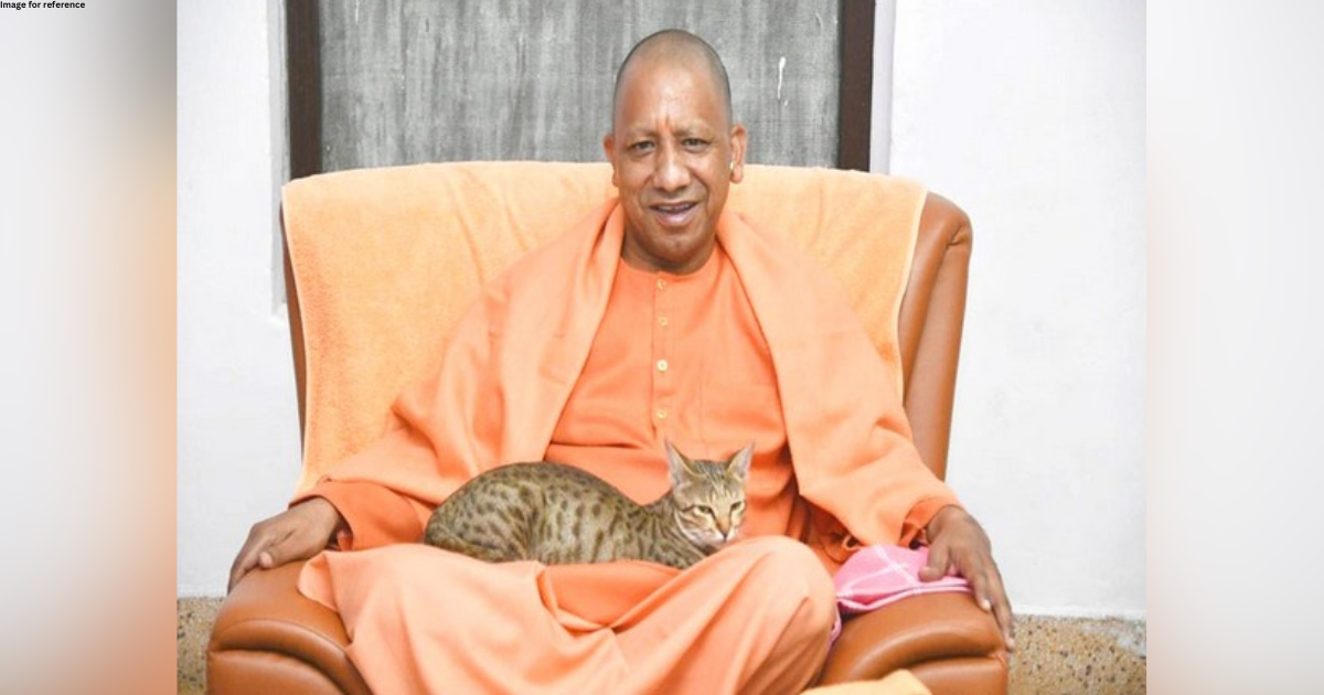 Yogi Adityanath doting on cat goes viral on last day of 2022